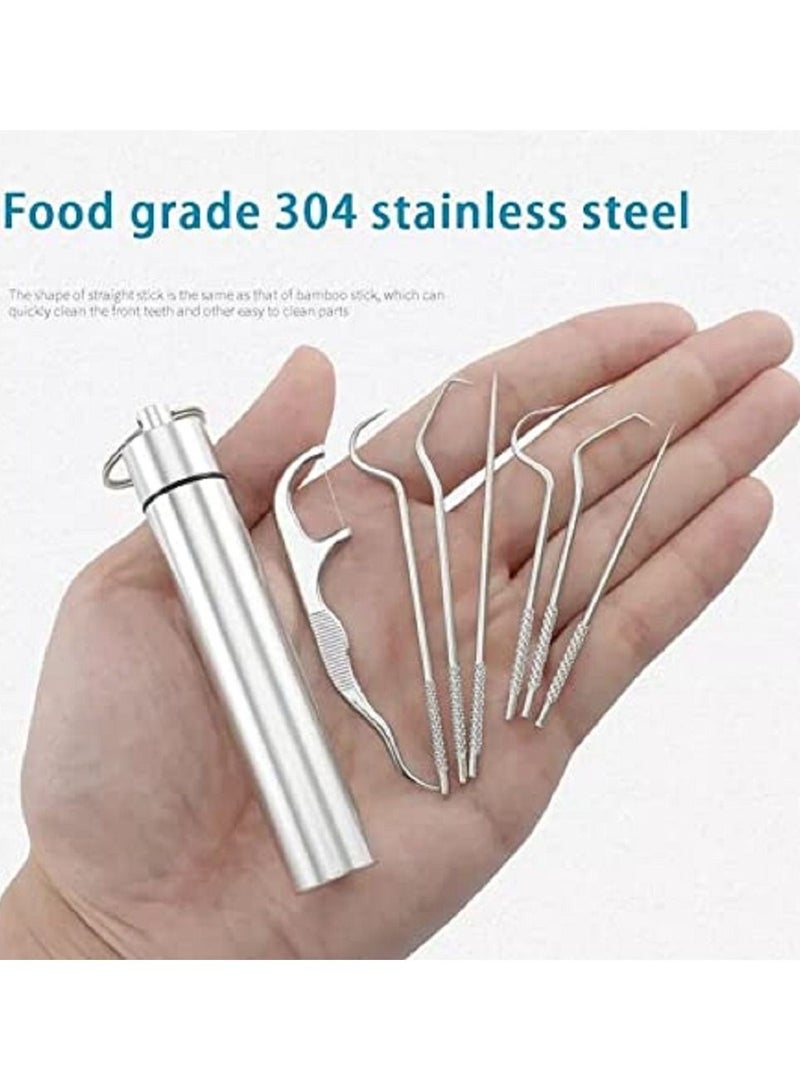 Stainless Steel Toothpick Set Tooth Flossing Reusable Toothpicks Portable Toothpick Floss Teeth Cleaner Oral Cleaning