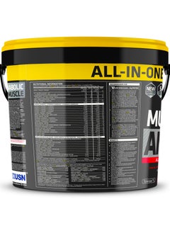 USN USN Muscle Fuel Anabolic Variety Pack All-in-one Protein Powder Shake (4 kg): Workout-Boosting, Anabolic Protein Powder for Muscle Gain  - Image 2