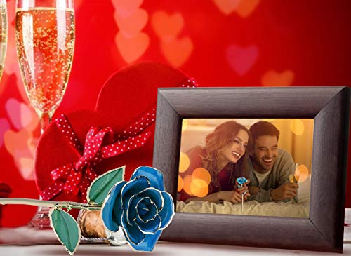 ZJchao 24K Blue Rose Christmas Her, Eternal Love Plated Rose Flower Her, Best Present for Anniversary, Wedding, Birthday, Graduation (Blue) - Image 4