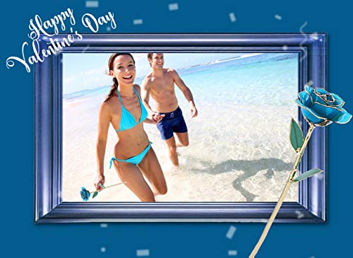 ZJchao 24K Blue Rose Christmas Her, Eternal Love Plated Rose Flower Her, Best Present for Anniversary, Wedding, Birthday, Graduation (Blue) - Image 3