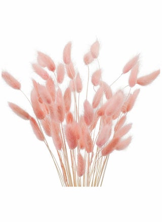 70 Pcs Natural Dried Bunny Tails and Pink Pampas Grass for Boho Home Decor Wedding Arrangements - pzsku/Z2447C51D07F8795BAB4DZ/45/_/1726308335/9657610f-5cd3-4072-b648-328f9e32ccda