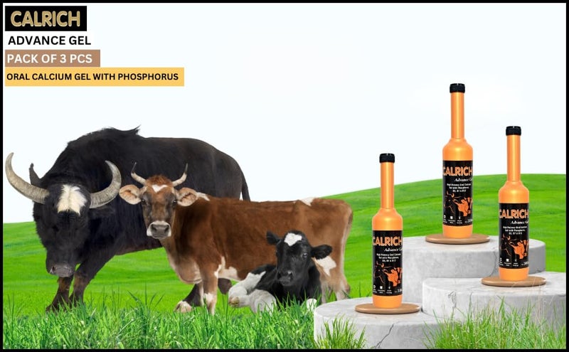 CALRICH Advance Oral Calcium Gel – High Potency Gel with Phosphorus, Vitamin D3, B7 & B12 | for Cows and Buffaloes | Prevents Milk Fever, Supports Calving & Improves Energy (Pack of 3) - Image 3