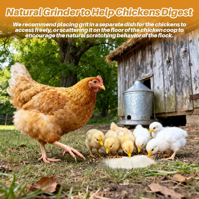 RAINFLOW 15oz Chick Grit with Calcium - 20-40 Mesh Limestone Grit for Chickens and Ducks, Natural Poultry Digestive Support for Young Chickens & Egg Layer Hen for Strong Eggshells - Image 5