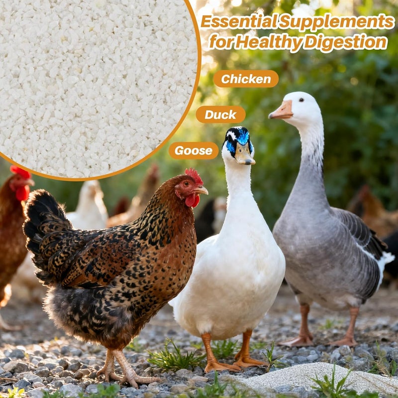 RAINFLOW 15oz Chick Grit with Calcium - 20-40 Mesh Limestone Grit for Chickens and Ducks, Natural Poultry Digestive Support for Young Chickens & Egg Layer Hen for Strong Eggshells - Image 4