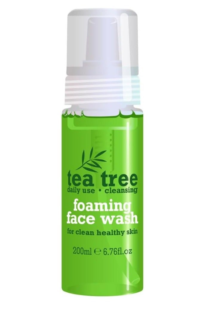 Xpel Marketing 3 X TEA TREE FOAMING FACE WASH 200ml FOR HEALTHY CLEAN SKIN - DAILY USE - Image 1