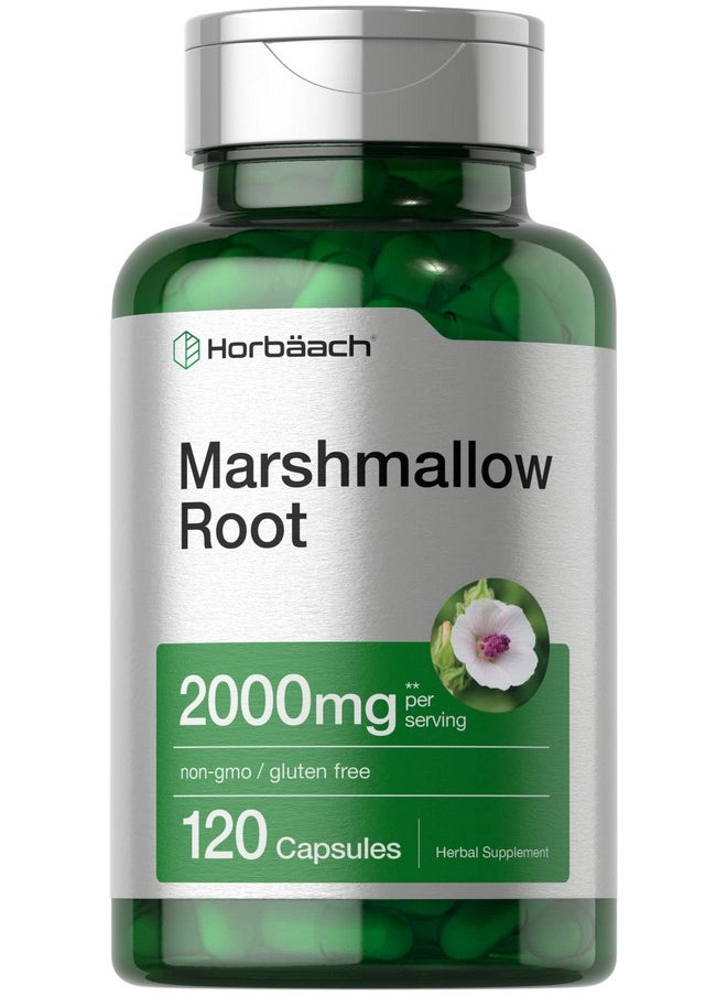 Horbaach Horbäach Marshmallow Root Capsules | 2000mg | 120 Count | Non-GMO & Gluten Free | Traditional Herb Extract  - Image 1