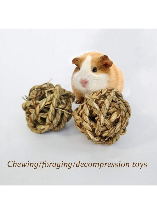 Hamiledyi 10Pcs Small Animal Ball Toy, Rabbit Activity Toy, 2.8in Large Guinea Pig chew Toys Grass Ball for Hamsters Gerbils Bunny Rabbits Guinea Pigs - Image 5