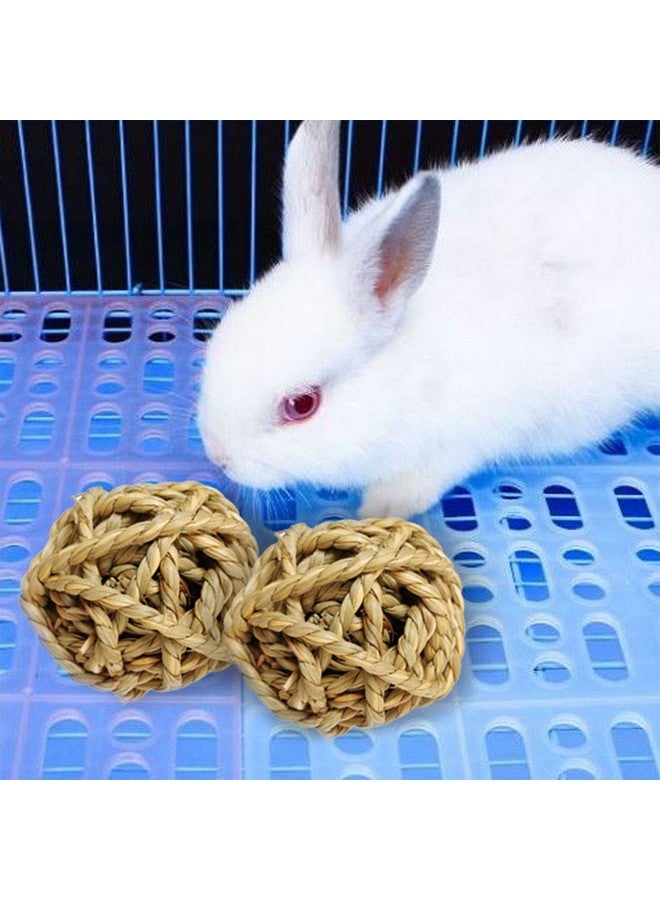 Hamiledyi 10Pcs Small Animal Ball Toy, Rabbit Activity Toy, 2.8in Large Guinea Pig chew Toys Grass Ball for Hamsters Gerbils Bunny Rabbits Guinea Pigs - Image 4