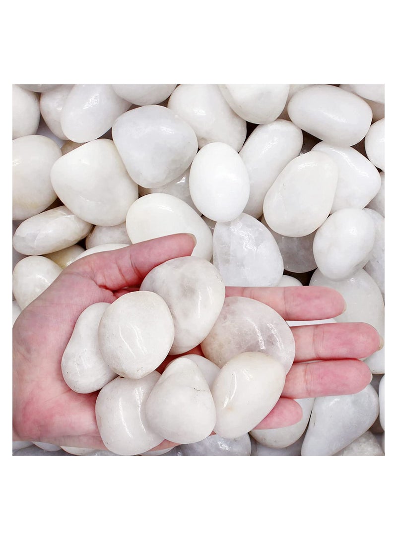 Luntum White Pebbles, Decorative Polished Natural River Pebbles for Plants, Home Decor, Aquarium, Vase Filler, Outdoor Garden, 2.2lb - Image 1
