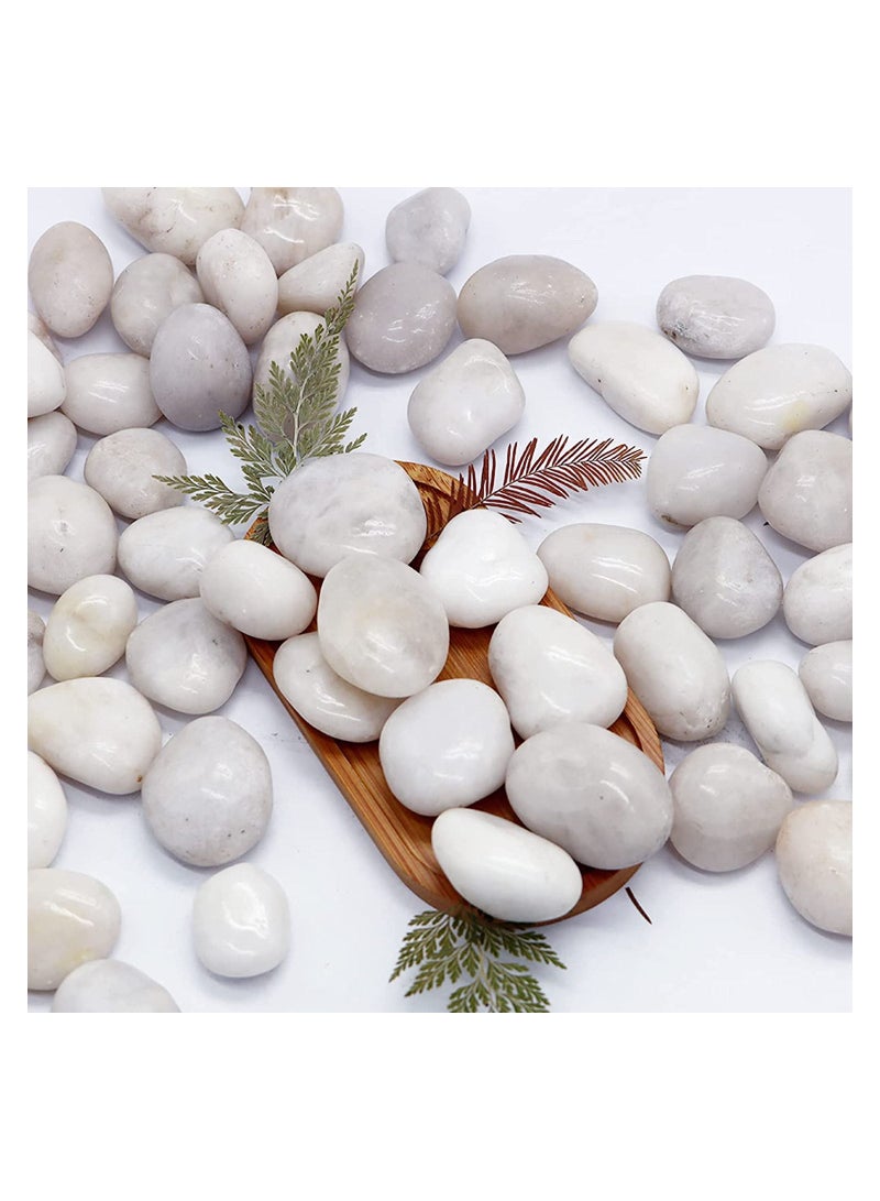 Luntum White Pebbles, Decorative Polished Natural River Pebbles for Plants, Home Decor, Aquarium, Vase Filler, Outdoor Garden, 2.2lb - Image 2