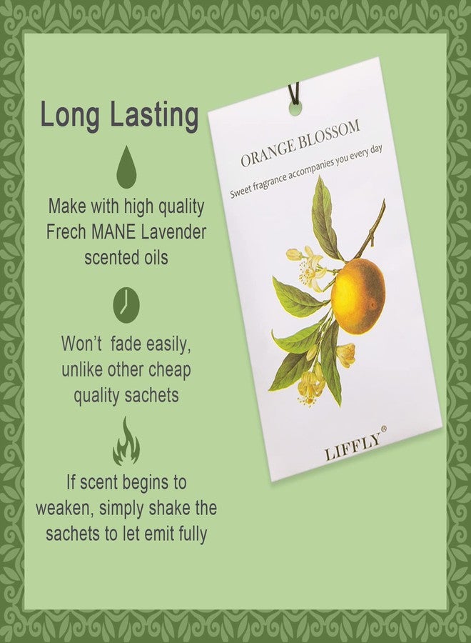 ليفلاي مجموعة ليفلي المكونة من 14 كيسًا معطرًا برائحة زهر البرتقال، مناسبة للأدراج والخزائن، هدية تدوم طويلًا - Image 2