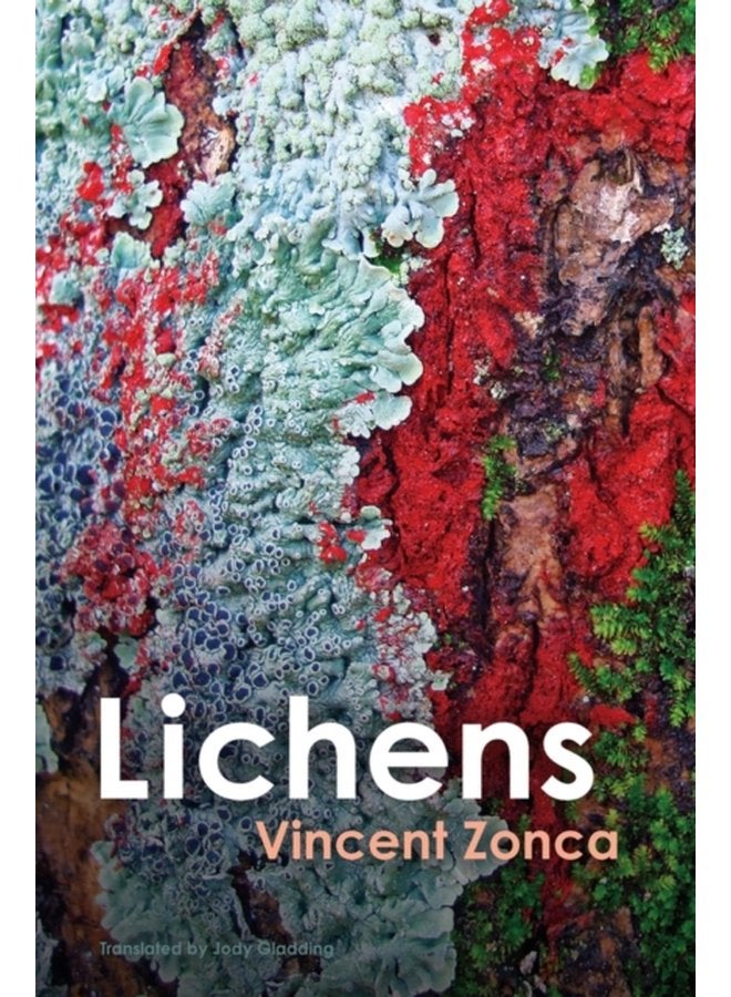 Lichens Toward a Minimal Resistance - Paperback