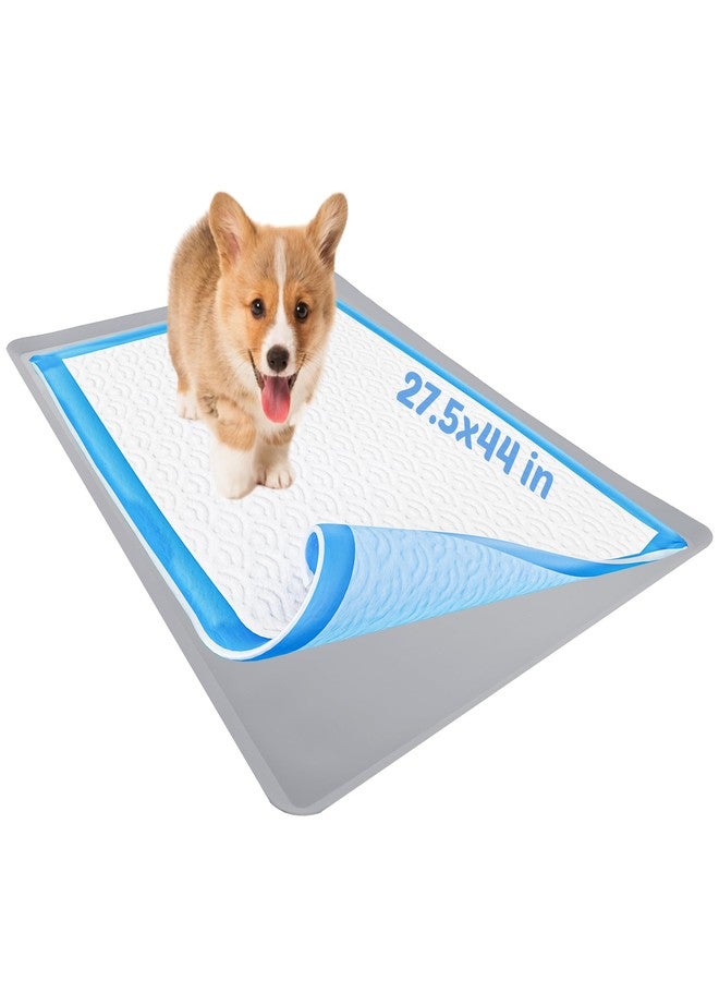 Skywin TidyFriend Dog Pee Pad Holder Tray Fits for 27.5” x 44” Wee Wee Pee Pads - Stable Grip, Raised Edges, Quick-Wipe Silicone Surface Dog Potty Tray Holder for Indoor Flooring Protection (Light Grey) - Image 1