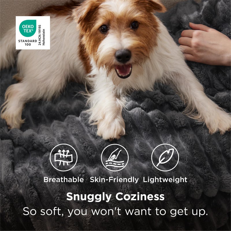 Bedsure Grey Fleece Throw Blanket for Couch - Super Soft Cozy Blankets for Women, Cute Small Throws for Girls, 50x60 Inches - Image 2