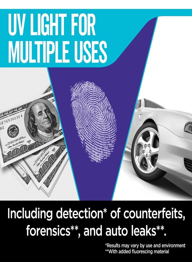 رايوفاك مصباح يدوي بالأشعة فوق البنفسجية من رايوفاك، ضوء أسود، للكشف عن بقع الحيوانات الأليفة وتسريبات السيارات، مصباح يدوي مزود ببطاريات AAA، عبوة من قطعة واحدة - Image 2