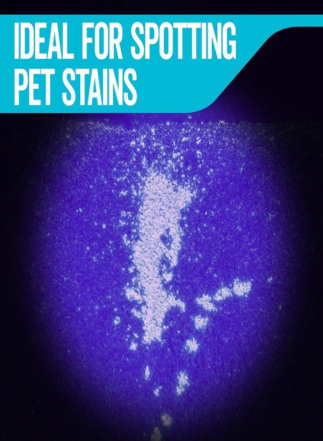 رايوفاك مصباح يدوي بالأشعة فوق البنفسجية من رايوفاك، ضوء أسود، للكشف عن بقع الحيوانات الأليفة وتسريبات السيارات، مصباح يدوي مزود ببطاريات AAA، عبوة من قطعة واحدة - Image 4