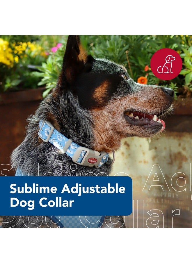 كوستال طوق كلب Coastal Pet Sublime قابل للتعديل - مشبك بلاستيكي قابل للتعديل - طوق كلب نابض بالحياة وملون بنقوش مقاومة للبهتان - أمواج زرقاء مع مربعات زرقاء، كبير - 1 1/2 بوصة × 18 بوصة - 26 بوصة - Image 2