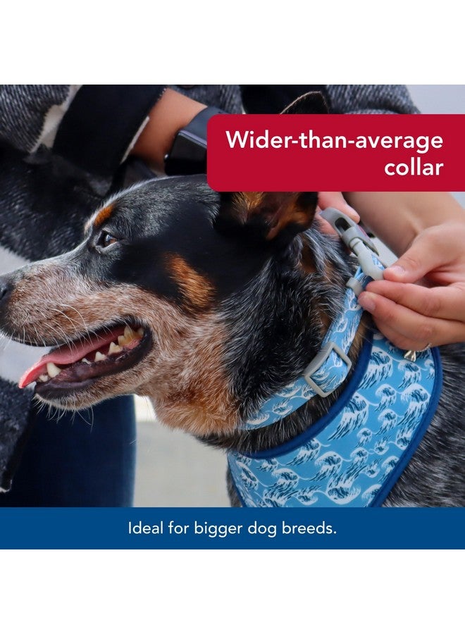 كوستال طوق كلب Coastal Pet Sublime قابل للتعديل - مشبك بلاستيكي قابل للتعديل - طوق كلب نابض بالحياة وملون بنقوش مقاومة للبهتان - أمواج زرقاء مع مربعات زرقاء، كبير - 1 1/2 بوصة × 18 بوصة - 26 بوصة - Image 3