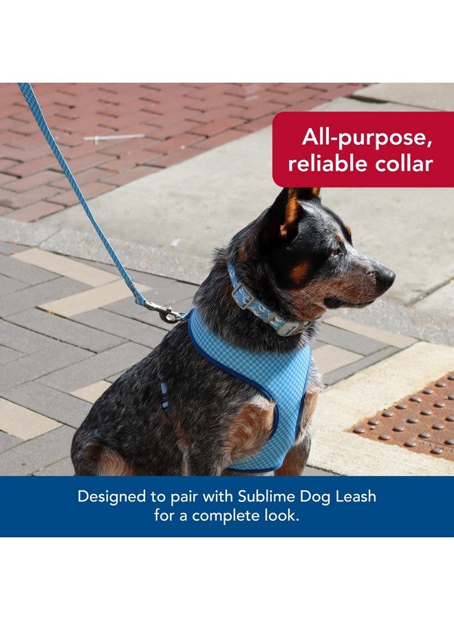 كوستال طوق كلب Coastal Pet Sublime قابل للتعديل - مشبك بلاستيكي قابل للتعديل - طوق كلب نابض بالحياة وملون بنقوش مقاومة للبهتان - أمواج زرقاء مع مربعات زرقاء، كبير - 1 1/2 بوصة × 18 بوصة - 26 بوصة - Image 4