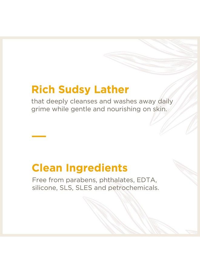 Soapbox Foaming Hand Soap Orange Zest & Fennel 11Oz Pump Bottles 3 Ct Gently Scented Moisturizing Foaming Hand Wash For Kitchen And Bathroom Vegan Cruelty & Paraben Free - Image 5