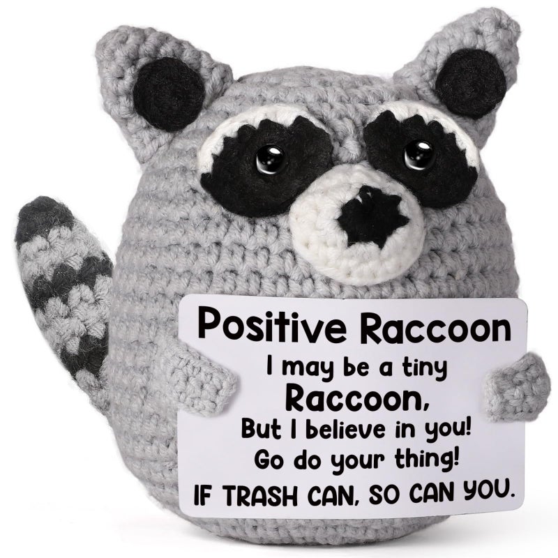 Weming Positive Crochet Animal Raccoon Handmade Emotional Support Plush Back to School Gift College Care Package for Teen Trendy Stuff Trash Panda for Women Birthday Christmas - Image 2