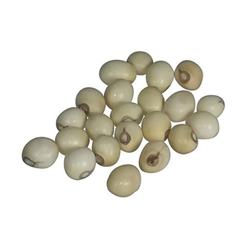 pmw 100 Natural Rare White Gunja Swetha Gunja Rakt Gunja Gurivanta White Rosary Pea Chanoti Latumoni 51 Pieces 001 Kg - Image 1