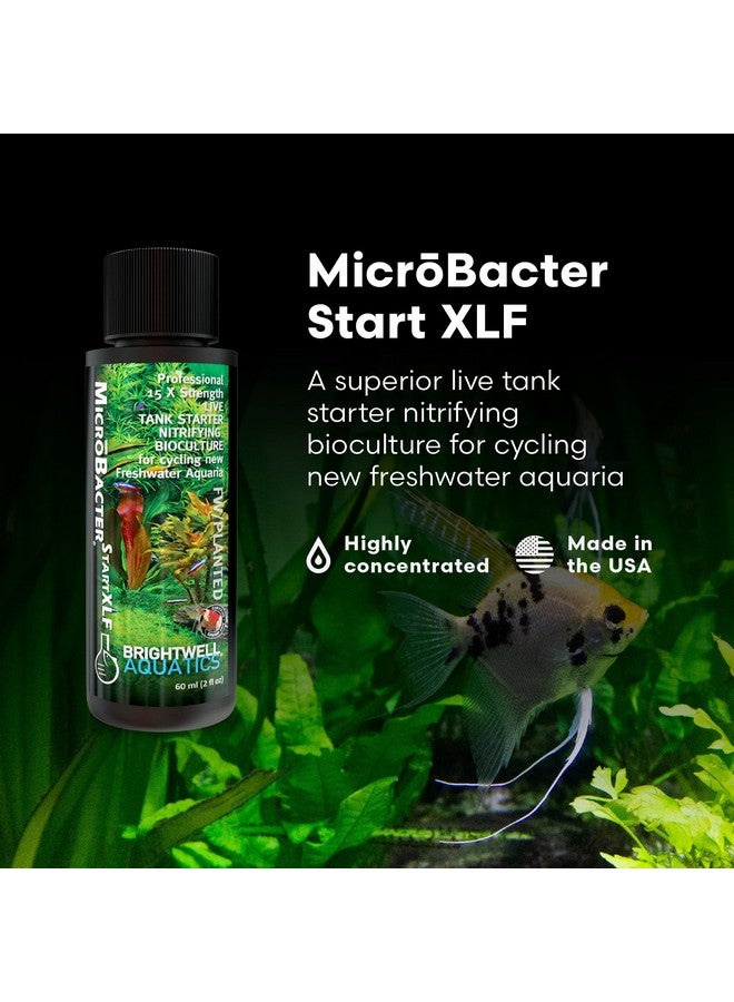 Brightwell Aquatics MicroBacter Start XLF - Concentrated Freshwater Nitrifying Bacteria - Quick Start Fish Tank Starter, Lift Microbe Levels & Water Filtering - Aquarium Water Treatments, 4.22 fl oz - Image 2