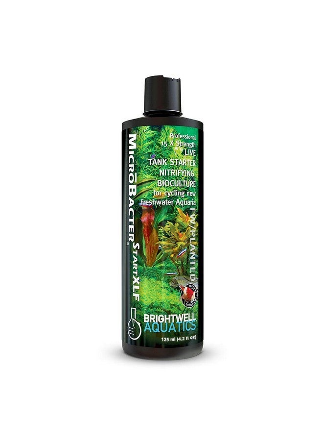 Brightwell Aquatics MicroBacter Start XLF - Concentrated Freshwater Nitrifying Bacteria - Quick Start Fish Tank Starter, Lift Microbe Levels & Water Filtering - Aquarium Water Treatments, 4.22 fl oz - Image 1