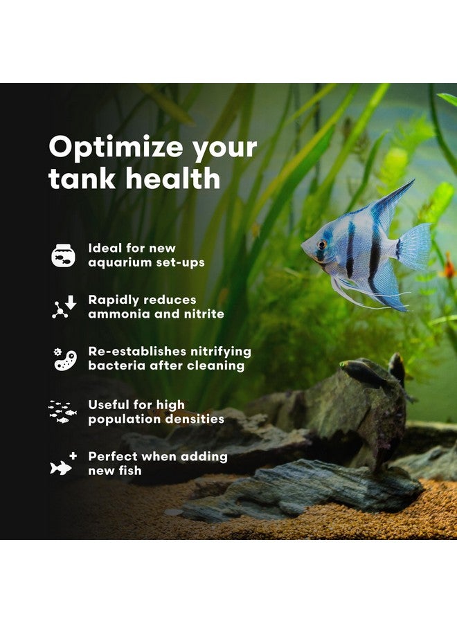 Brightwell Aquatics MicroBacter Start XLF - Concentrated Freshwater Nitrifying Bacteria - Quick Start Fish Tank Starter, Lift Microbe Levels & Water Filtering - Aquarium Water Treatments, 4.22 fl oz - Image 3
