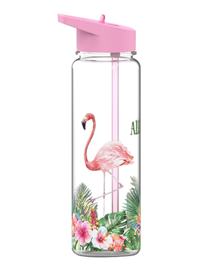 Loquat Flamingo Print Straw Water Bottle Pink/Clear/Green - Image 1