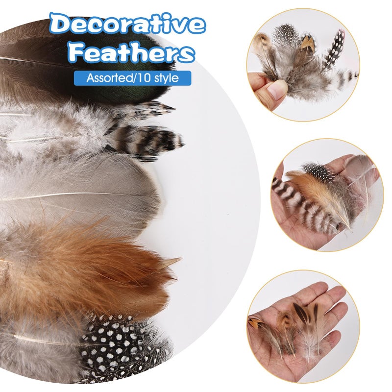 FeelfunFeather 300 pcs Small Feathers - 10 Style Mixed Spotted Decorative Natual Pheasant Feather for DIY Crafts Clothing Jewelry Hair Decoration - Image 3