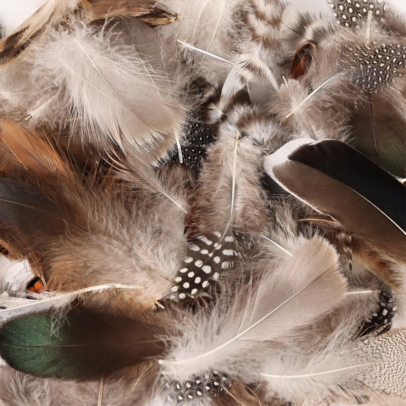 FeelfunFeather 300 pcs Small Feathers - 10 Style Mixed Spotted Decorative Natual Pheasant Feather for DIY Crafts Clothing Jewelry Hair Decoration - Image 4