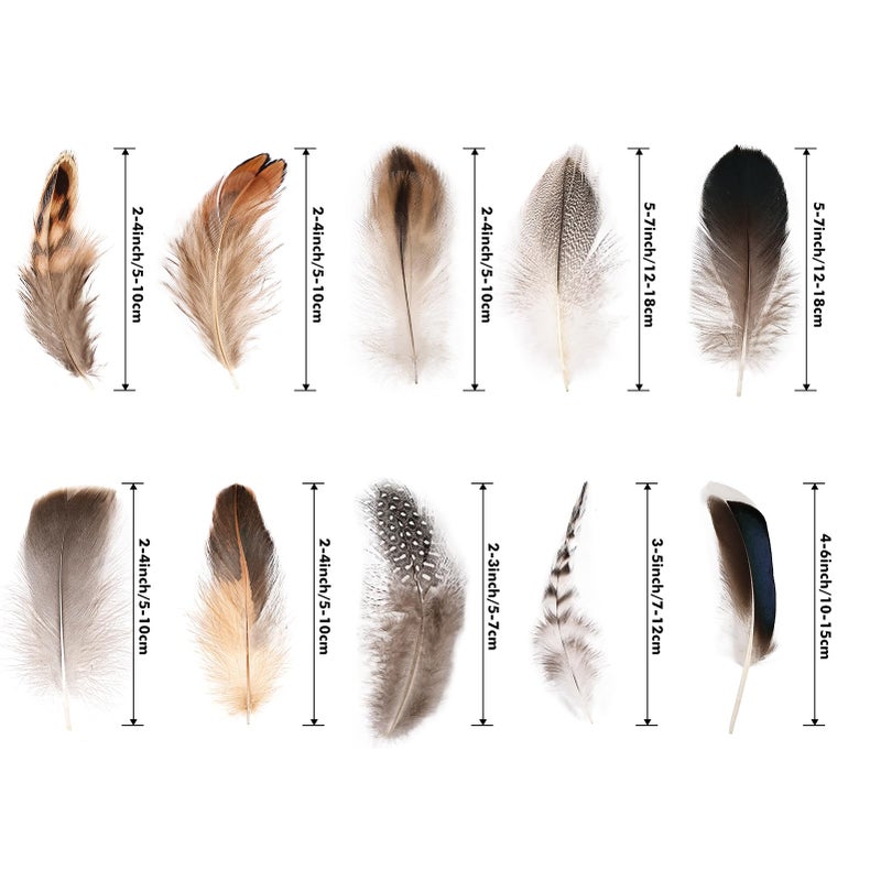 FeelfunFeather 300 pcs Small Feathers - 10 Style Mixed Spotted Decorative Natual Pheasant Feather for DIY Crafts Clothing Jewelry Hair Decoration - Image 2