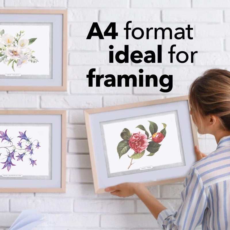 Castle Art Supplies Castle Arts Flowers Colouring Book | 36 Mindfulness-Inspiring Blooms Curated by in-House Artists with Colour Reference Guide | No Show-Thru Artist Grade Paper | Frameable Landscape A4 Size - Image 5