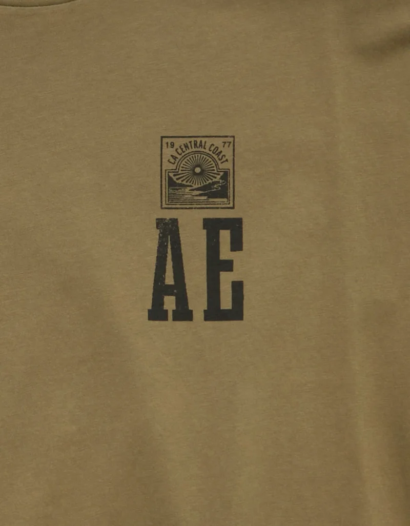 American Eagle AE Logo Graphic T-Shirt