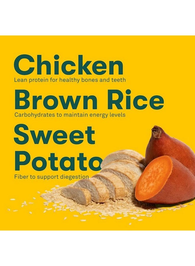 جينكس طعام الكلاب الجاف الفاخر الخالي من الحبوب من جينكس، دجاج حقيقي، بطاطا حلوة، جزر مع أغذية فائقة وبروبيوتيك، بدون مواد مالئة، لجميع مراحل الحياة، 4 أرطال - Image 5