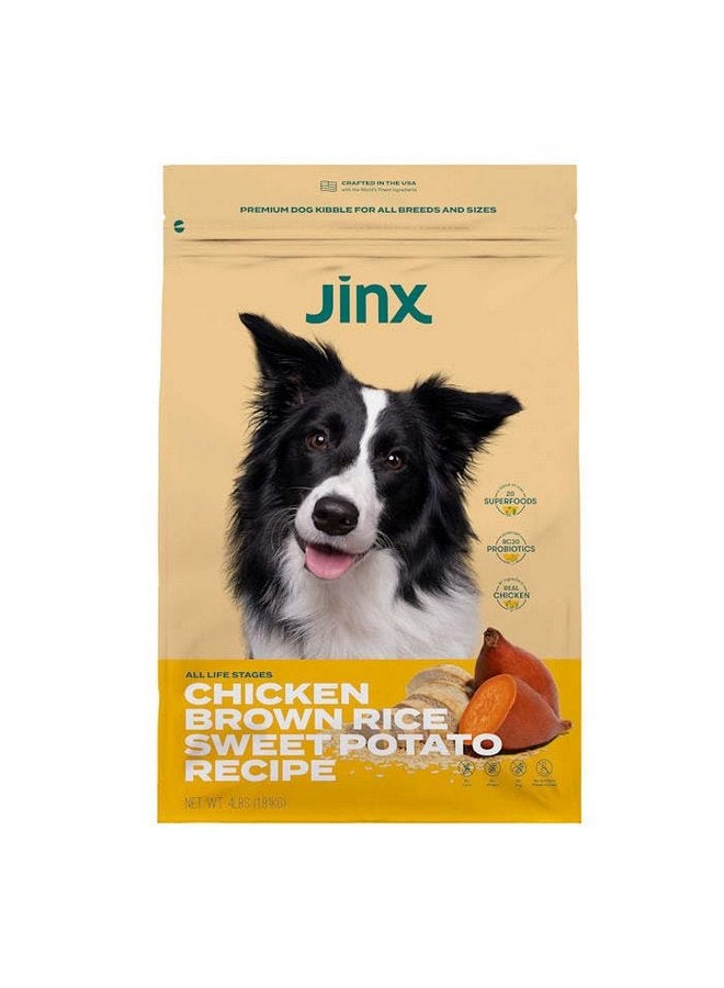 جينكس طعام الكلاب الجاف الفاخر الخالي من الحبوب من جينكس، دجاج حقيقي، بطاطا حلوة، جزر مع أغذية فائقة وبروبيوتيك، بدون مواد مالئة، لجميع مراحل الحياة، 4 أرطال - Image 1