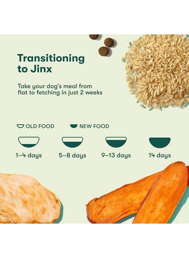 جينكس طعام الكلاب الجاف الفاخر الخالي من الحبوب من جينكس، دجاج حقيقي، بطاطا حلوة، جزر مع أغذية فائقة وبروبيوتيك، بدون مواد مالئة، لجميع مراحل الحياة، 4 أرطال - Image 4
