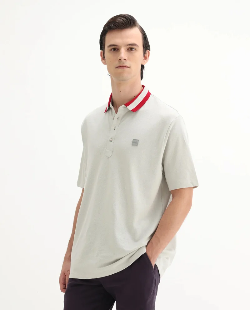Rare Rabbit Rare Rabbit Men's Divide Light Grey Cotton Fabric Striped Collar Half Sleeves Polo T-Shirt