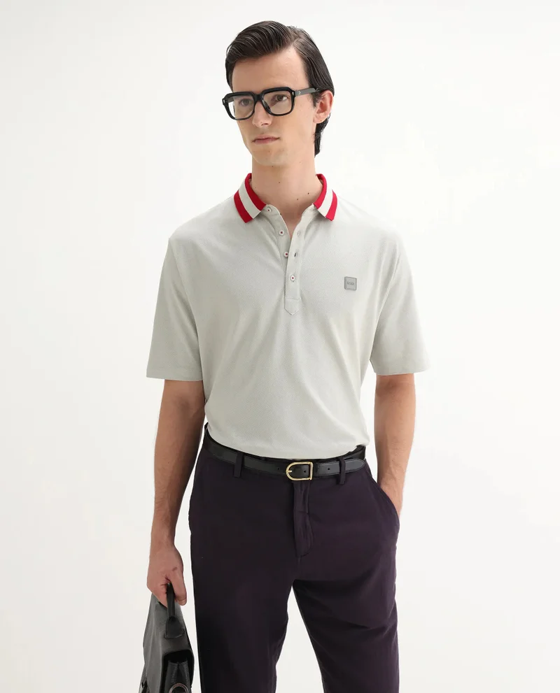 Rare Rabbit Rare Rabbit Men's Divide Light Grey Cotton Fabric Striped Collar Half Sleeves Polo T-Shirt