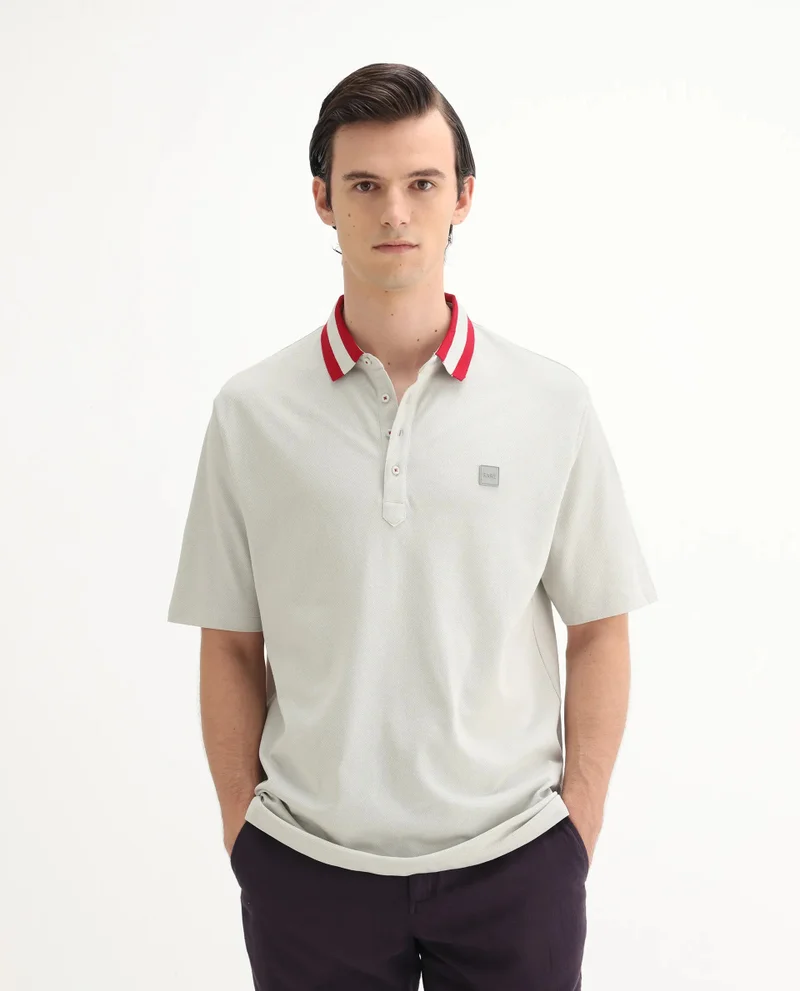 Rare Rabbit Rare Rabbit Men's Divide Light Grey Cotton Fabric Striped Collar Half Sleeves Polo T-Shirt