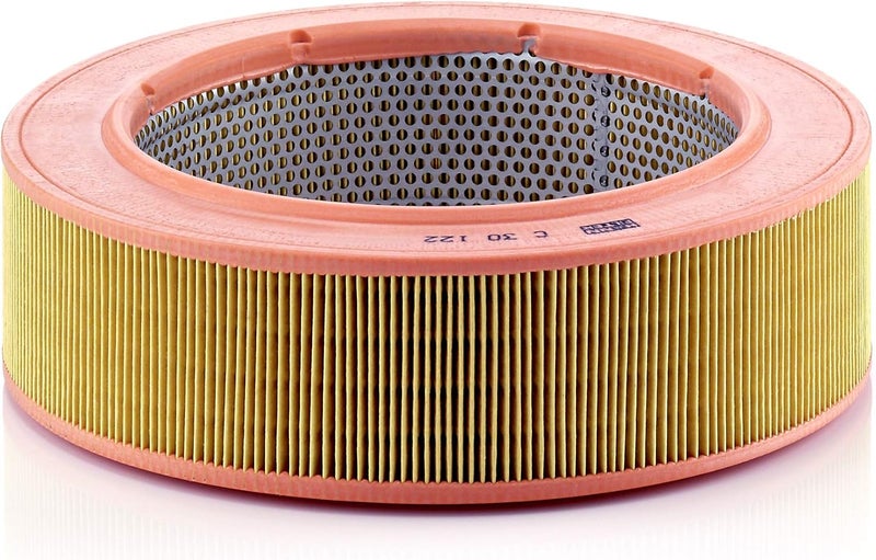 MANN FILTER MANN-FILTER Mann Filter C30122 Air Filter - Image 1
