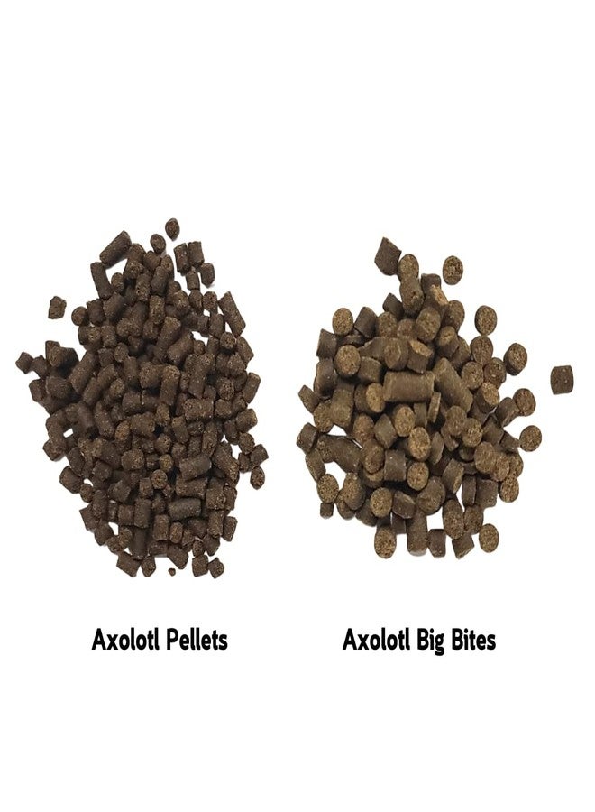 Invert Aquatics Axolotl Big Bites - Fast Sinking, Soft Pellet Daily Diet for Axolotls, Newts, Salamanders & Other Amphibians (3 oz (85g)) - Image 5