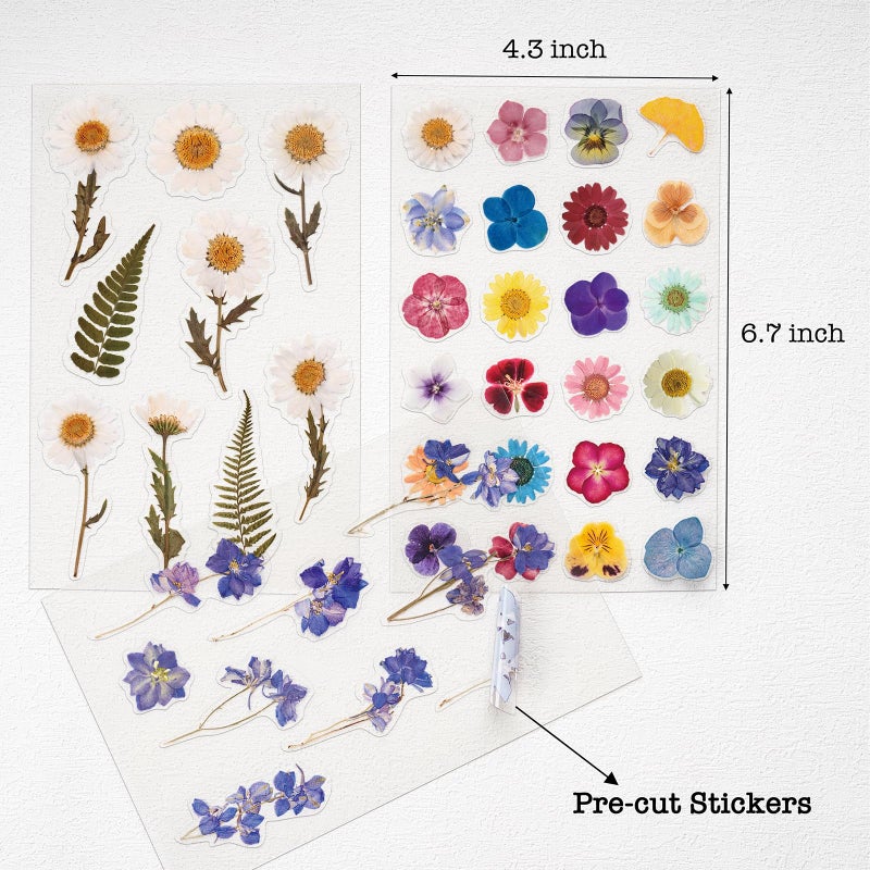 Knaid Pressed Flower Themed Stickers (Assorted 486 Pieces, 36 Sheets) Dried Floral Resin Stickers Decals Botanical Journaling Sticker for Scrapbook Supplies Junk Journal Bullet Journal Planner Laptop - Image 3