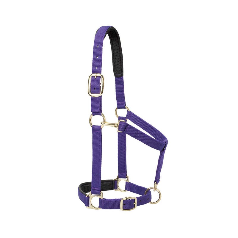 Weaver Leather Padded Adjustable Chin and Throat Snap Halter, 1" Average Horse or Yearling Draft, Solid Purple - Image 3