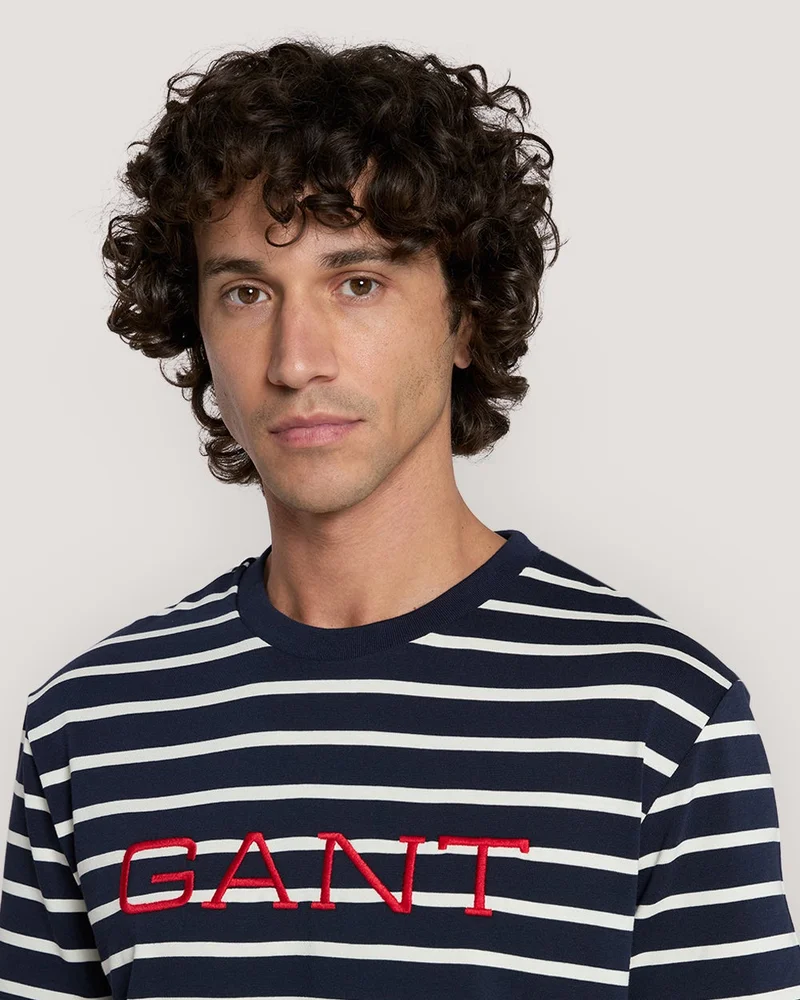 GANT  Gant Striped Graphic T-Shirt for Men | Best Price UAE