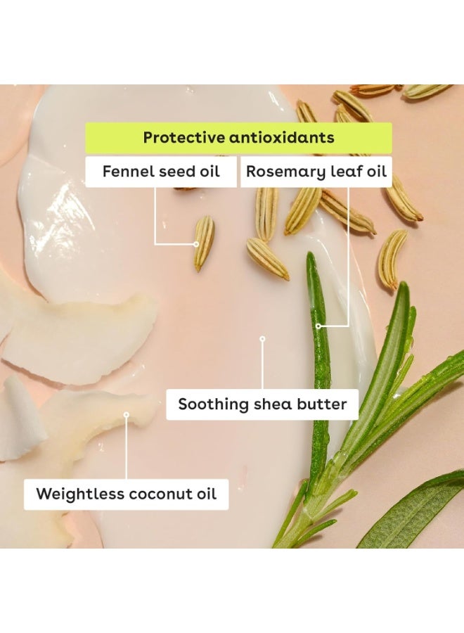 EOS بلسم شفاه طبيعي 100% من إيوس - حليب جوز الهند، فاكهة الأناناس، بطيخ فروسé و كيوي توت العليق، عناية بالشفاه طوال اليوم، 0.14 أونصة، 4 عبوات - Image 5