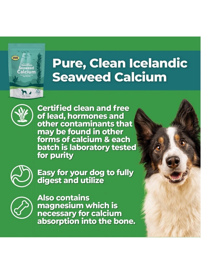 Animal Essentials Seaweed Calcium - Supplement for Dogs and Cats, High Digestibility, Pure Clean Icelandic Seaweed Calcium, Free of Lead and Hormones, Lab Tested, Magnesium - 12 Oz (Pack of 2) - Image 3