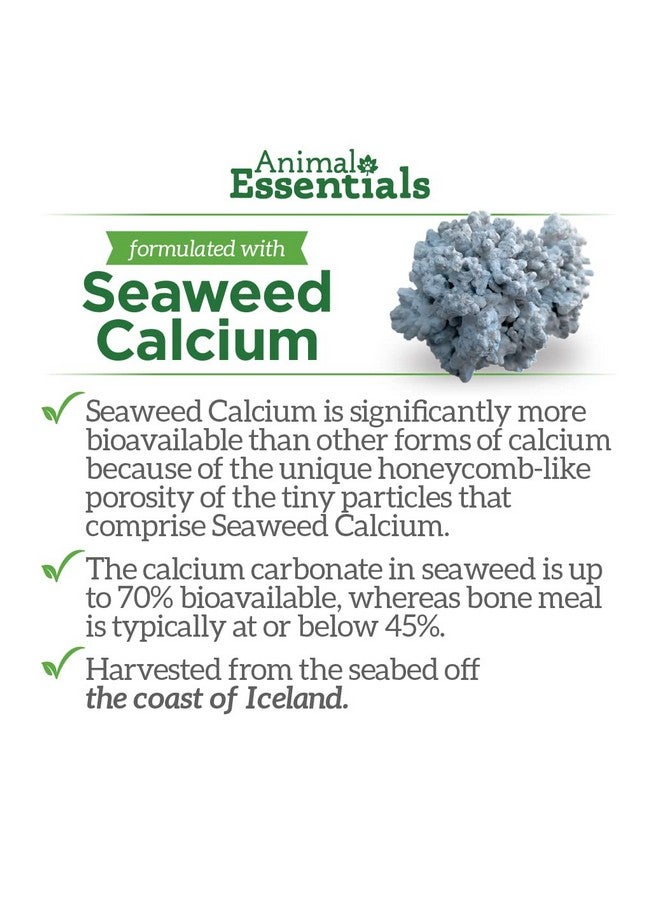 Animal Essentials Seaweed Calcium - Supplement for Dogs and Cats, High Digestibility, Pure Clean Icelandic Seaweed Calcium, Free of Lead and Hormones, Lab Tested, Magnesium - 12 Oz (Pack of 2) - Image 4