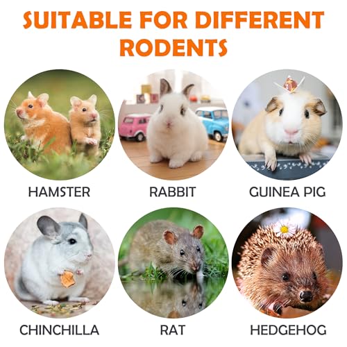 Sofier Timothy Hay Treats Rabbit Toys Bunny Guinea Pig Hamster Natural Chews for Teeth Handmade Rabbit Chews and Treats Chinchilla Rat Gerbil - Image 5